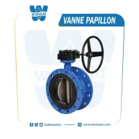 VANNE PAPILLON A VOULANT