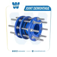 JOINT DEMONTAGE