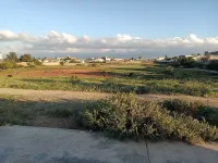 Vente Terrain Tipaza Kolea