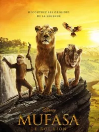 DVD films 
