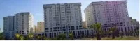 Vente Appartement F3 Alger Kouba