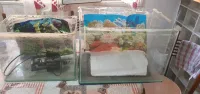 Aquariums et divers matériels 