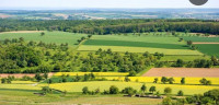 terrain-agricole-vente-ain-temouchent-algerie