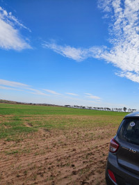 terrain-agricole-vente-ain-temouchent-algerie