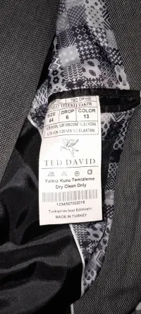 Ted david