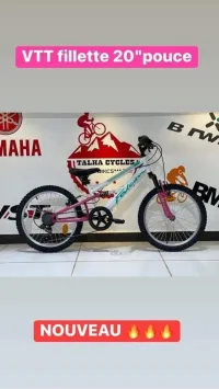 Velo 20 pouce wst 