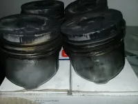 Piston std 1.9 dti d origine 