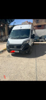 voitures-fiat-professional-ducato-2023-medea-algerie