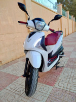 motos-et-scooters-st-sym-2023-laghouat-algerie