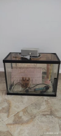 Aquarium 