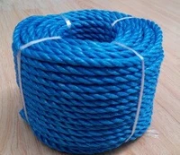 Ligne de fabrication de cordes et des fils en plastique et la corde cisale 3T/24h 