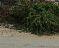 أرض-بيع-عنابة-الجزائر