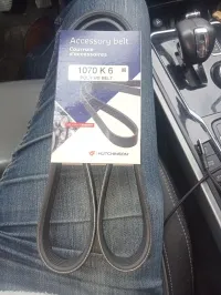 Courroie d'accessoire golf 2.0 tdi 140 