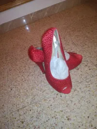 Chausseur soirée