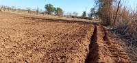 terrain-agricole-vente-djelfa-benhar-algerie