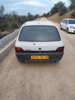 citadine-renault-clio-1-1994-el-affroun-blida-algerie