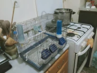 5 cage pour oiseaux