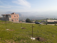 terrain-vente-bejaia-akbou-algerie