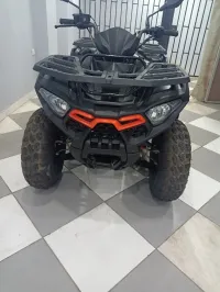 VMS VMS 2024