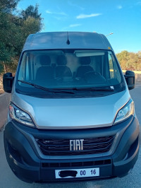 fourgon-fiat-ducato-2024-chlef-algerie