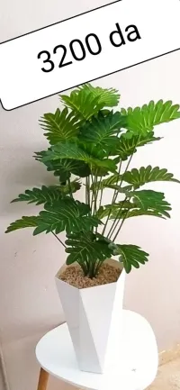 Plantes Artificial
