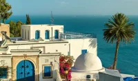voyage tunisie par bus et par avion 