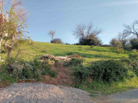 terrain-vente-boumerdes-beni-amrane-algerie