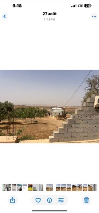 أرض-فلاحية-بيع-تلمسان-شتوان-الجزائر