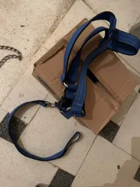 Accessoire pour chien - LIQUIDATION