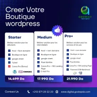 Création boutique en ligne WordPress 