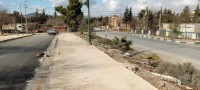 أرض-بيع-تلمسان-المنصورة-الجزائر