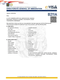 PROMO Visa Chine,Russie,Thaïlande,Singapour,Vietnam, Japon,Corée du Sud,Pays Arabes