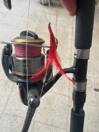 moulinet shimano canne Smith 