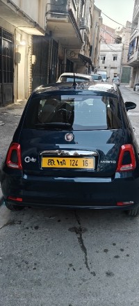 سيارات-fiat-500-2024-cult-mib-القبة-الجزائر