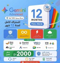 شريحة-هاتف-و-اشتراكات-google-pro-12-mois-الجزائر-وسط