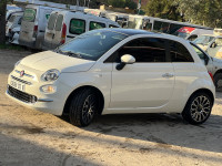 voitures-fiat-500-2023-dotchi-vita-blida-algerie