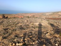 أرض-بيع-تلمسان-باب-العسة-الجزائر