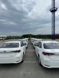 Tout les marques Chinois 2025 La toute