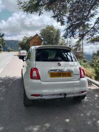 سيارات-fiat-500-2025-dolcevita-mib-القليعة-تيبازة-الجزائر