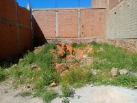 أرض-بيع-تلمسان-عين-تالوت-الجزائر