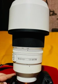 Sony G Master FE 100-400 mm f/4,5-5,6 GM OSS