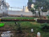 apartment-sell-f4-alger-dely-brahim-algeria