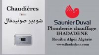 heating-air-conditioning-packs-chaudiere-avec-radiateur-saunier-duvalberettariellochappeeimmergasbaxiravenheatjunkers-rouiba-algiers-algeria