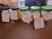 عسل للبيع 