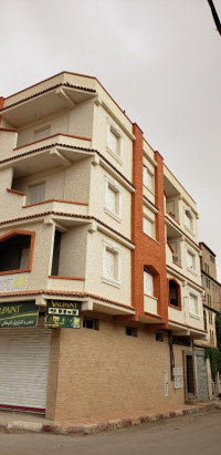 construction-travaux-monocouche-et-mochete-ecrase-facade-alger-centre-algerie