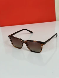 Lunette de Soleil Polarised _ Oliver P Scheyer 