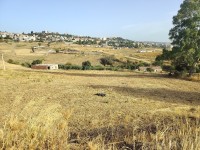 أرض-بيع-المدية-الجزائر