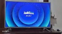 LG32 SMART
