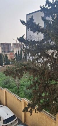 شقة-بيع-4-غرف-الجزائر-درارية
