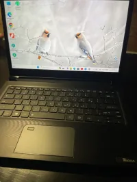 Dynabook Tecra A30-G 